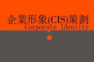 广告、营销、品牌与企业策划 战略协同下的广告设计核心